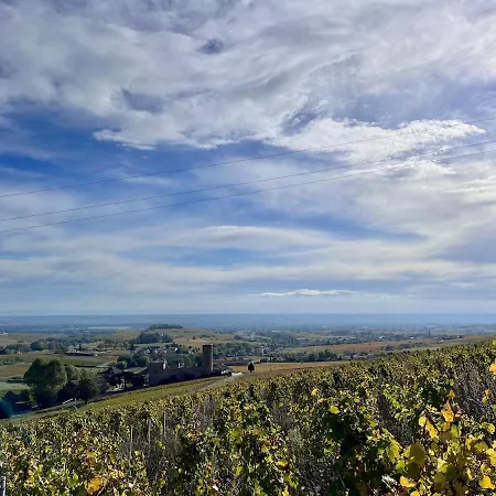 Bienvenue Dans Le Beaujolais * Le Perreon